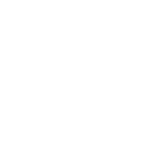 Logo ICM